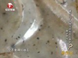 赛宝会-20160414