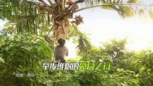 《我们的法则》：丛林家族奇幻之旅即将启程