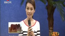 我们的丛林日记-20160716