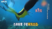丛林家族冒险海捕 能否成功？