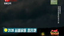 金枪鱼盛宴开启 丛林家族感悟多
