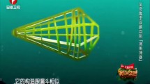 吴奇隆李亚鹏自制捕鱼神器