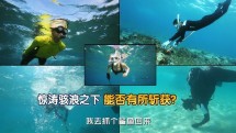 《我们的法则》第九期精彩抢先看
