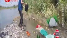李亚鹏黄子韬求鱼心切