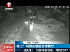 夜线60分-20180107