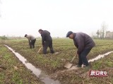 安徽灾后农业生产恢复全面展开  累计投入2.73亿元