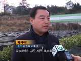郑中明：加强生态建设  培育地方品牌