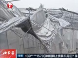 合肥：种植户灾后重建  积极应对恶劣天气