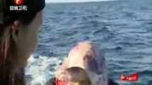 我们的丛林日记-20160813