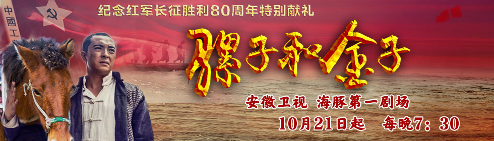 安徽卫视《骡子和金子》