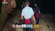 黄子韬深夜捕“椰子蟹”