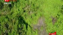 熊黛林发威独挑大梁