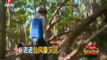 小沈阳打造丛林“豪华”单间