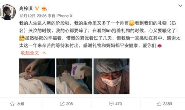 蔡琳产子跨国恋开花结果 高梓淇蔡琳称爱子“小礼物”
